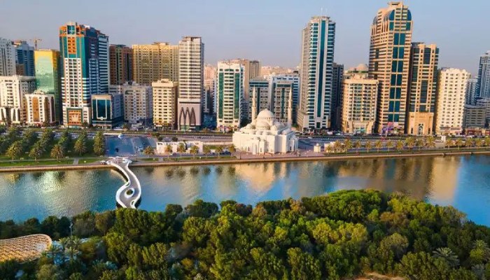 بررسی مزایا و معایب شارجه