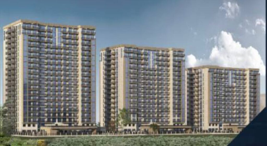 فاز ۶ پروژه لیوینگ لجندز